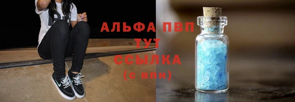 спайс Баксан
