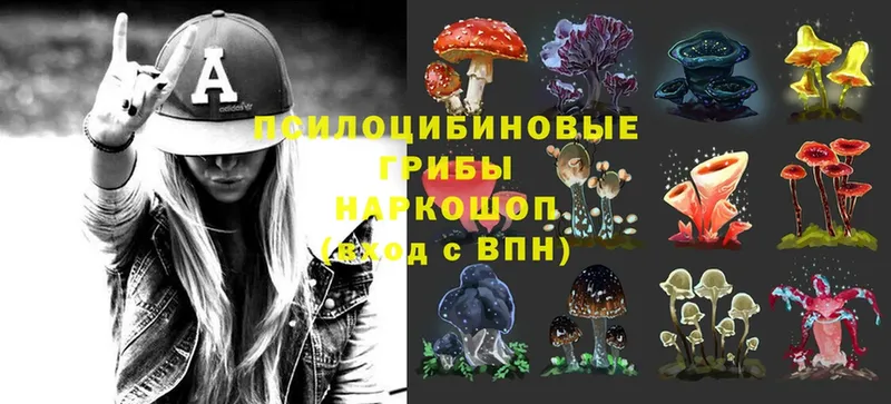 Галлюциногенные грибы Cubensis  Ворсма 